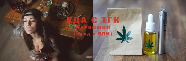 индика Чекалин