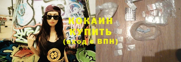 амф Гусев