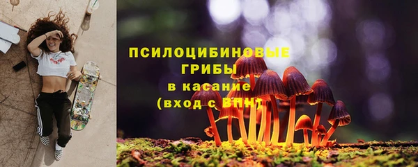 spice Чегем