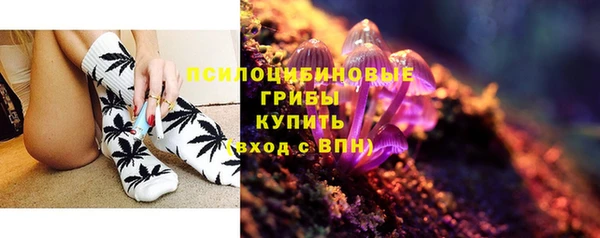 эйфоретик Осташков